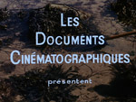 De Cinégraphie Documentaire