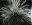 Ver spirographe