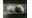 Oursins de sable, 1928