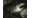 Pince de crabe, 1930