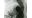 Daphnie, 1927